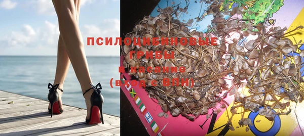 спайс Алзамай