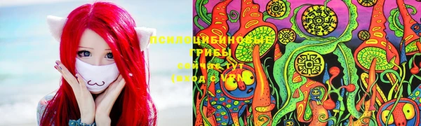 хмурый Алексеевка