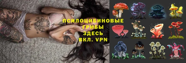 хмурый Алексеевка