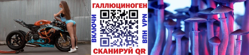где можно купить   Апатиты  Галлюциногенные грибы Psilocybine cubensis 
