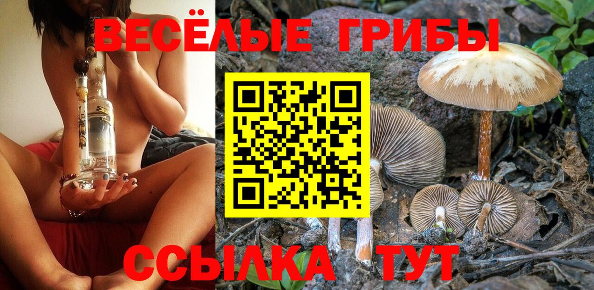 Псилоцибиновые грибы мицелий Апатиты
