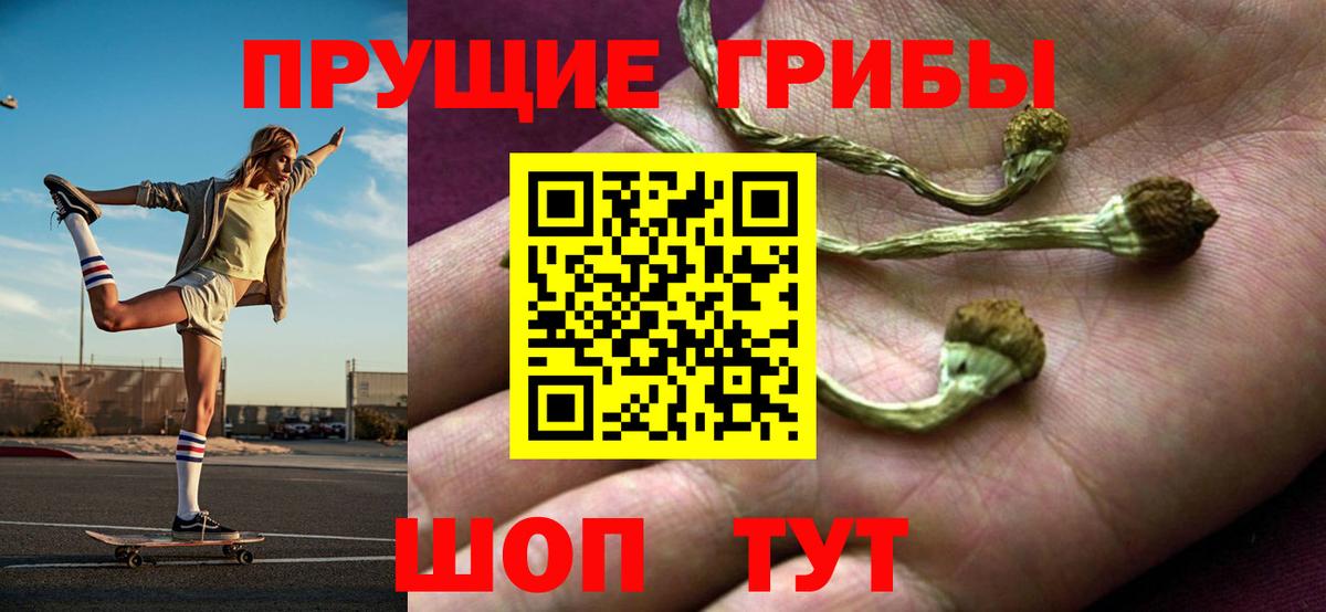 Псилоцибиновые грибы мицелий  Вход с VPN  Галлюциногенные грибы Psilocybe  Апатиты 